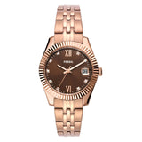 Fossil Scarlette Analog Women's Watch | ES5324