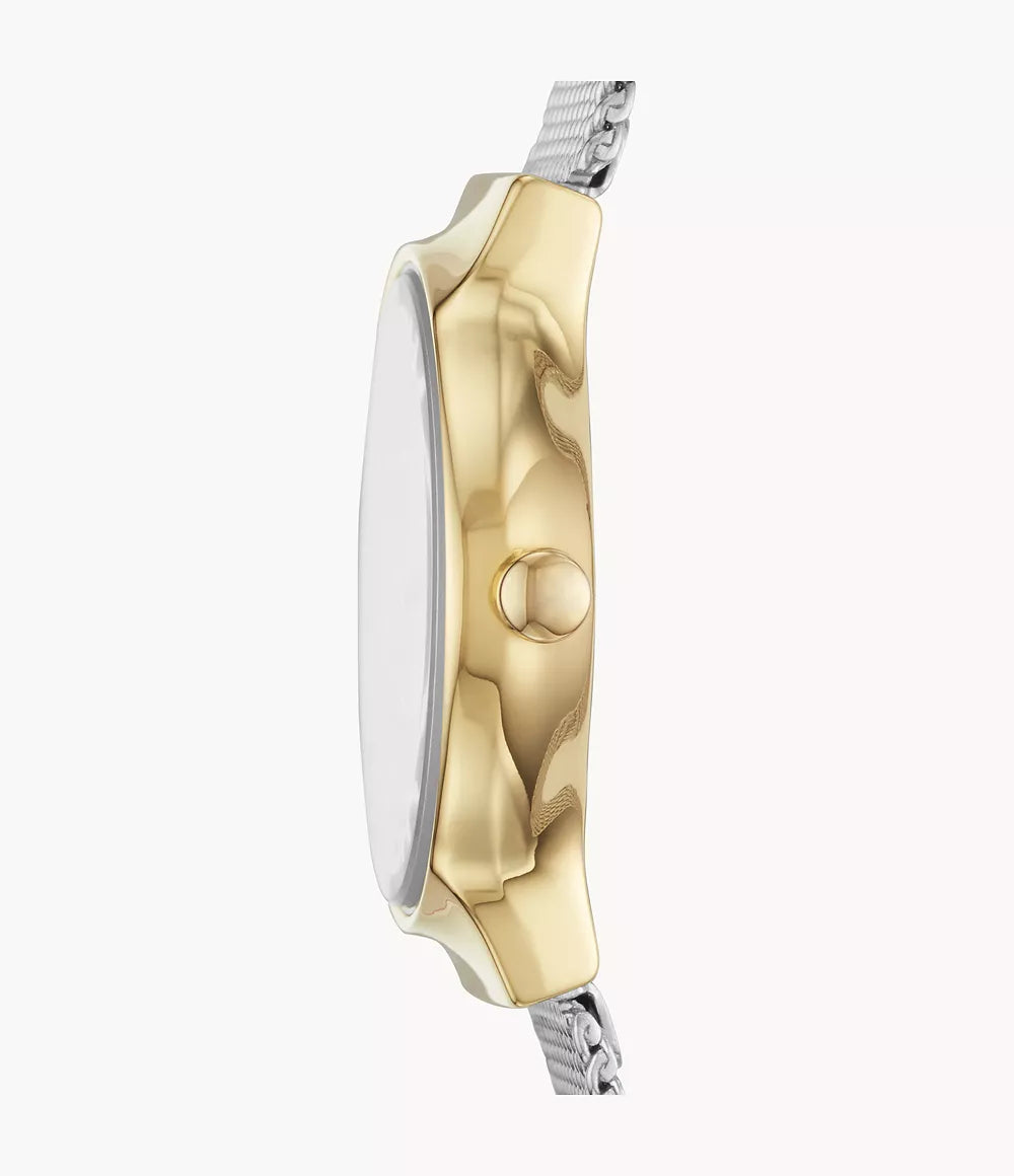 SKAGEN Freja Lille Two-Tone Steel Mesh Women's Watch | SKW2666