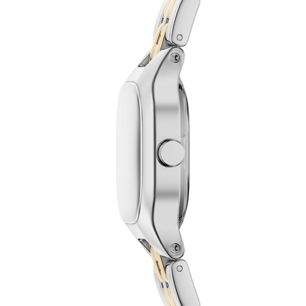 Skagen Mellem Silver Dial and Two-Tone Steel Bracelet 22mm Women's Watch | SKW3176