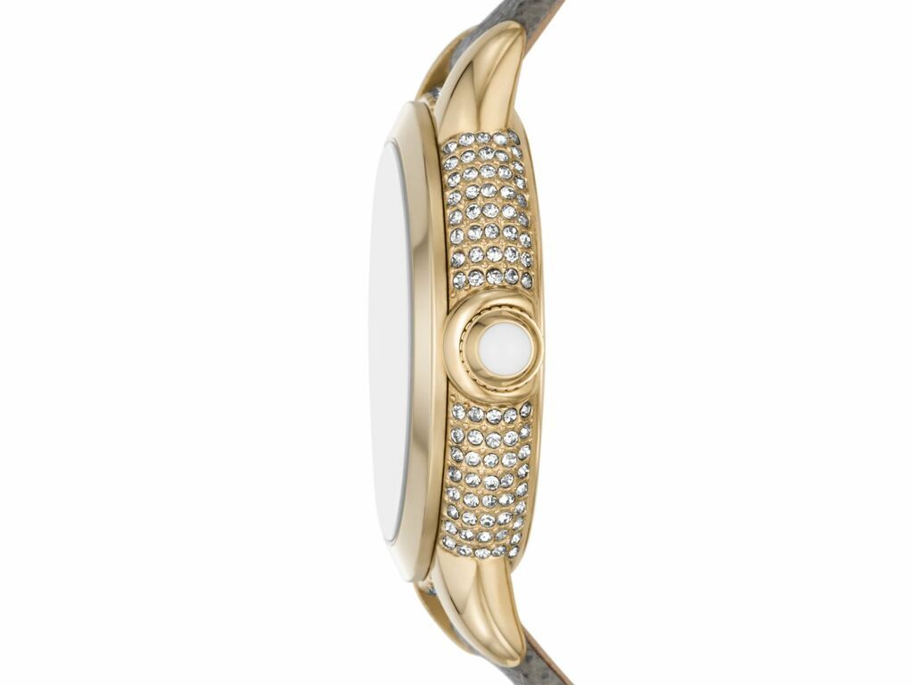 Emporio Armani Classic Silver Dial and Taupe Leather 38mm Women's Watch | AR11526