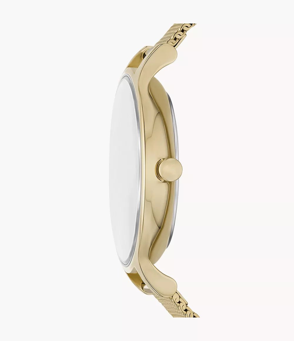 Skagen Anita Lille Three - Hand Gold Stainless Steel Mesh Woman's Watch | SKW3145 | TIME Watches