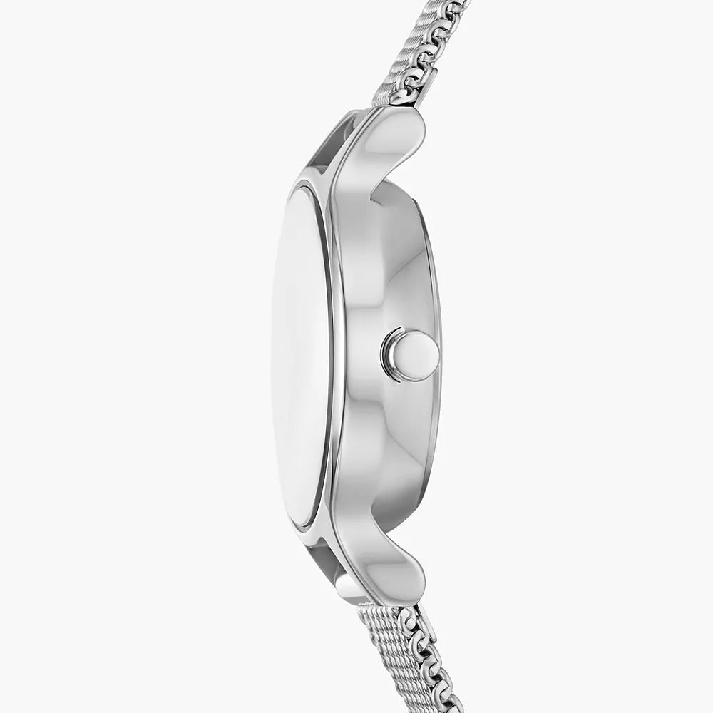 Skagen Anita Micro Silver Dial and Mesh 22mm Women's Watch | SKW3172 | TIME Watches