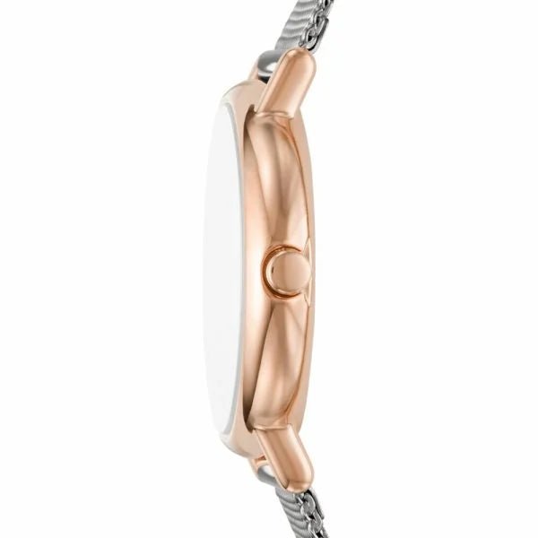 Skagen Signatur Lille Two-Hand Rose Gold Stainless Steel Women's Watch | SKW2996 | Time Watch Specialists