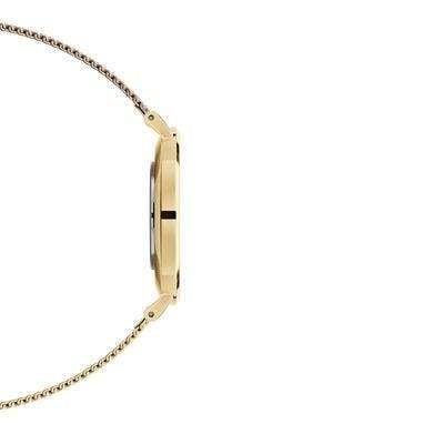 Daniel Wellington Petite Evergold Gold Women's Watch | DW00100347