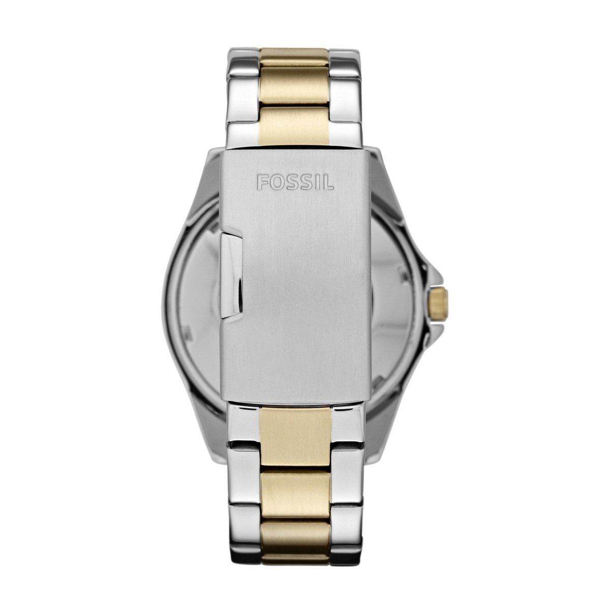 Fossil Riley Multifunction Stainless Steel Women's Watch | Time Watch Specialists