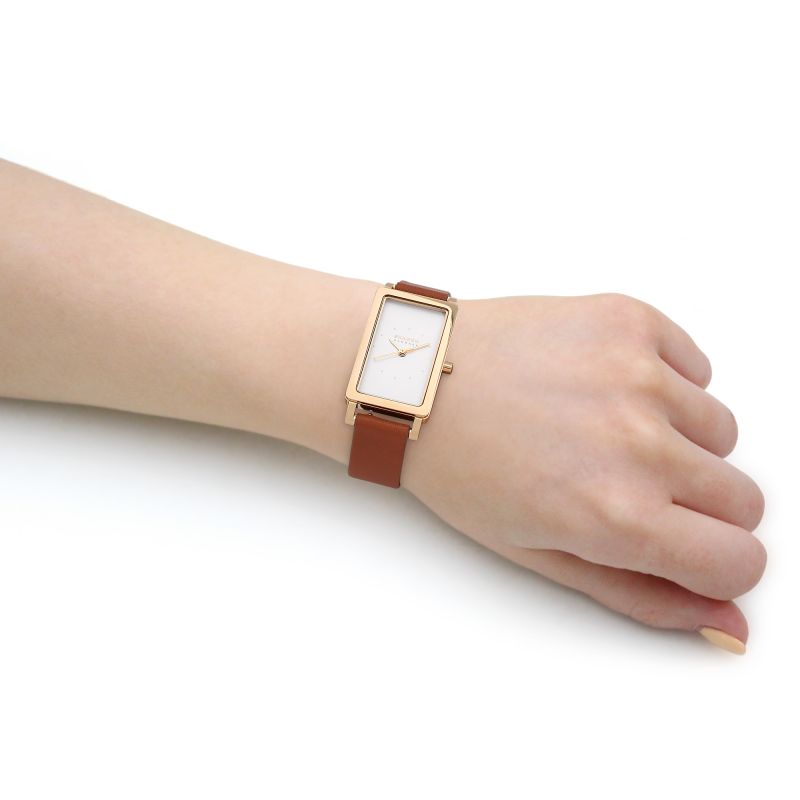 Skagen Hagen Brown Leather Woman's Watch | SKW3097 | Time Watch Specialists