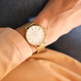 BERING Classic Women's Watch | 14134 - 331 | Time Watch Specialists