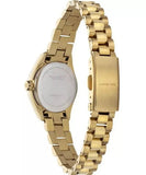 Paul Hewitt Petit Soleil Solar Woman's Watch | PH - W - 1182 | Time Watch Specialists