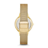 Skagen Anita Gold Round Stainless Steel Mesh Women's Watch | SKW2150 | Time Watch Specialists