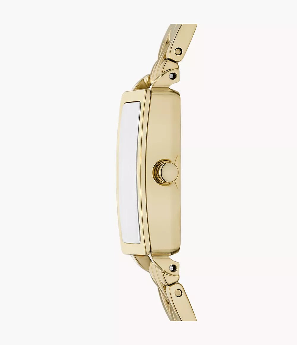 Skagen Hagen Micro Two - Hand Gold Stainless Steel Woman's Watch | Time Watch Specialists