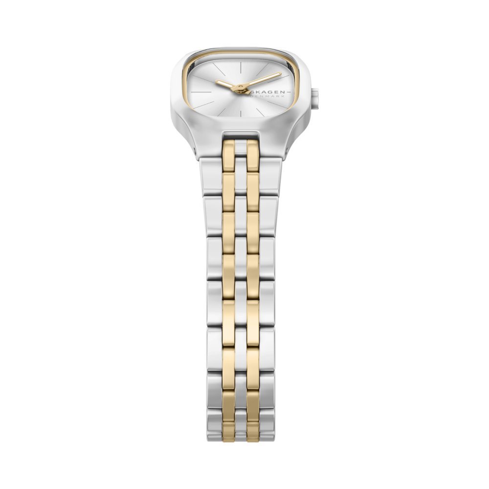 Skagen Mellem Silver Dial and Two - Tone Steel Bracelet 22mm Women's Watch | SKW3176 | TIME Watches