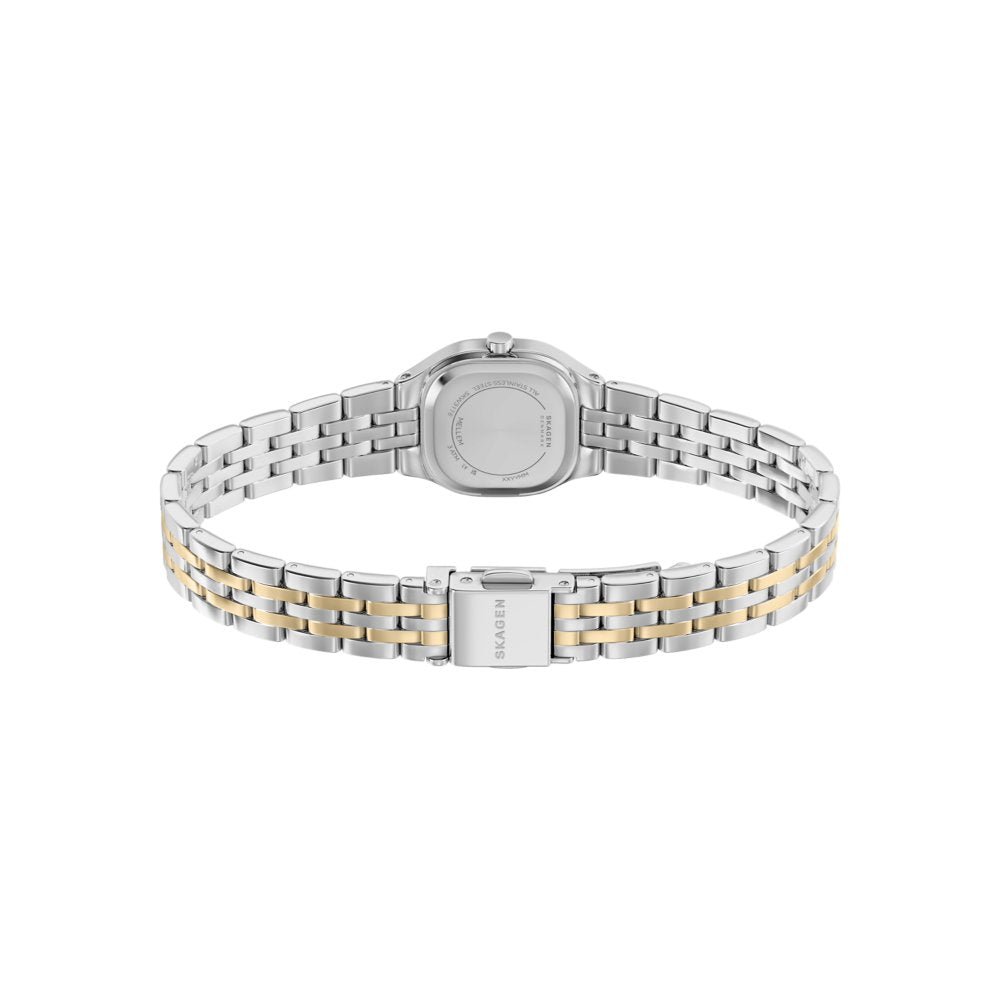 Skagen Mellem Silver Dial and Two - Tone Steel Bracelet 22mm Women's Watch | SKW3176 | TIME Watches