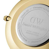 Daniel Wellington Petite Evergold Gold Women's Watch - DW00100347 | Time Watch Specialists