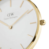 Daniel Wellington Petite Evergold Women's Watch | DW00100348 | Time Watch Specialists