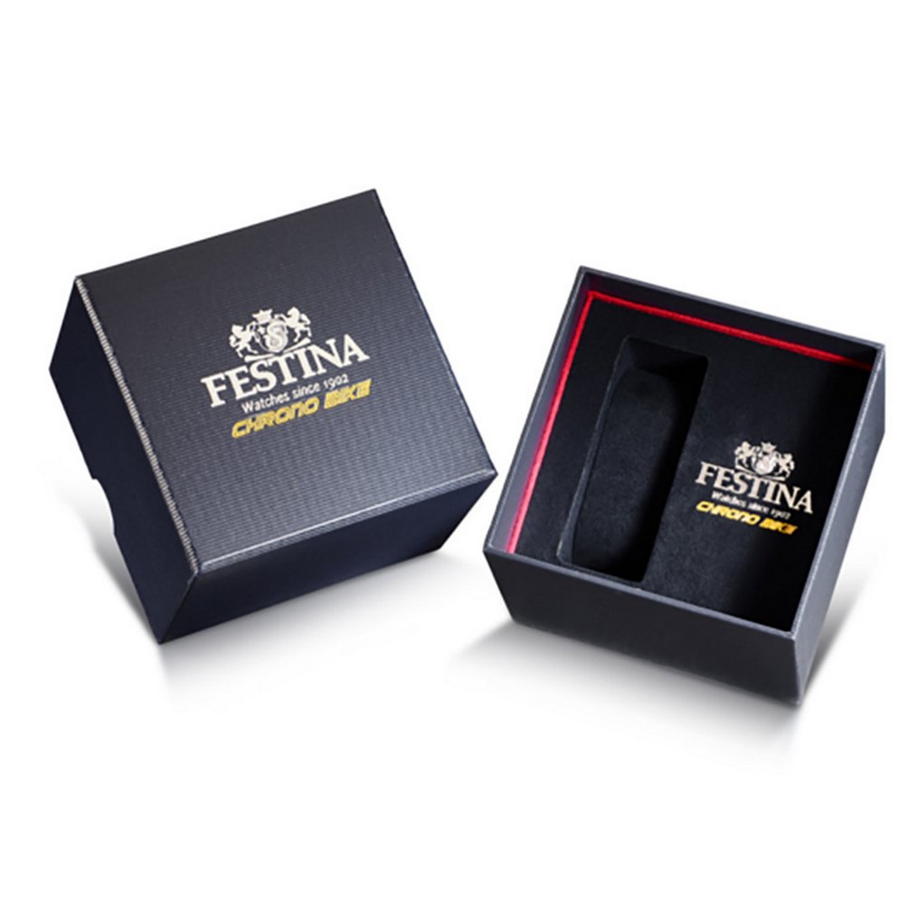 Festina Analog Quartz Stainless Steel Men's Watch | F20641/3 | Time Watch Specialists