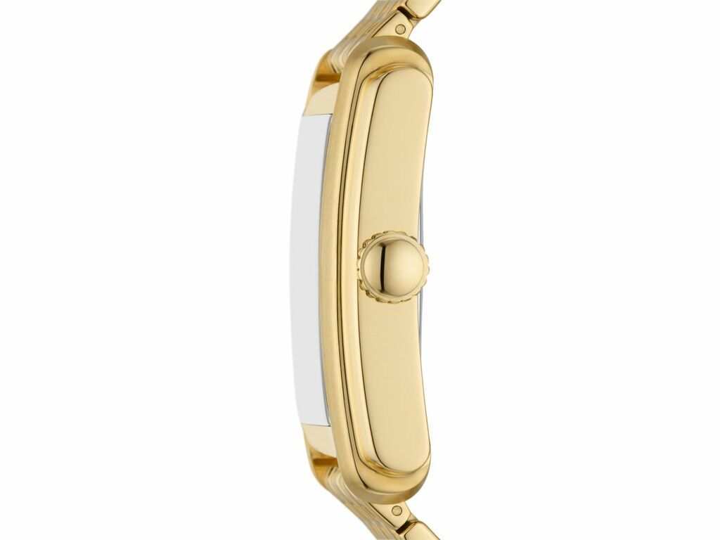 Fossil Carraway Three-Hand Gold-Tone Stainless Steel Men's Watch | FS6009 | Time Watch Specialists