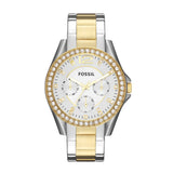 Fossil Riley Multifunction Stainless Steel Women's Watch | Time Watch Specialists