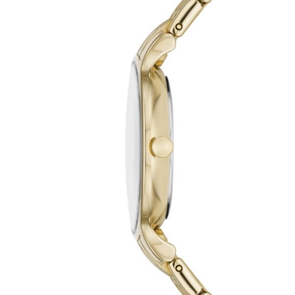 Skagen Anita Lille Three Hand Gold Stainless Steel Woman s Watch SKW3127
