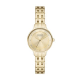 Skagen Anita Lille Three-Hand Gold Stainless Steel Woman's Watch | SKW3127 | Time Watch Specialists