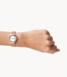 Skagen Freja Rose Gold Round Stainless Steel Mesh Women's Watch - SKW2665 | Time Watch Specialists