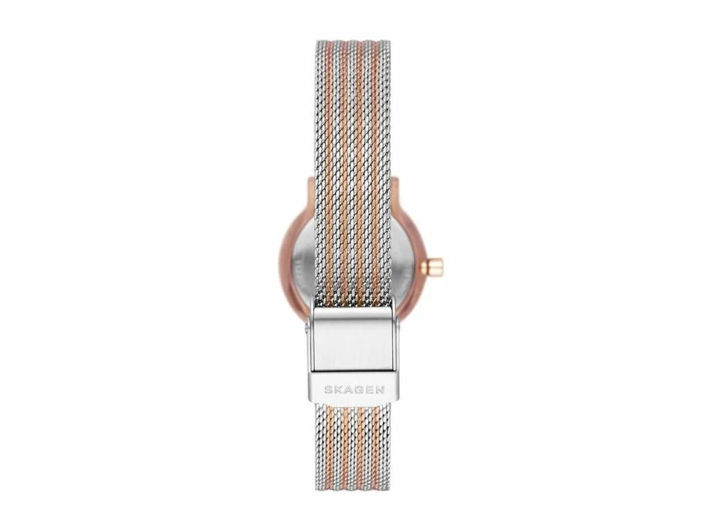 Skagen two tone mesh watch hot sale