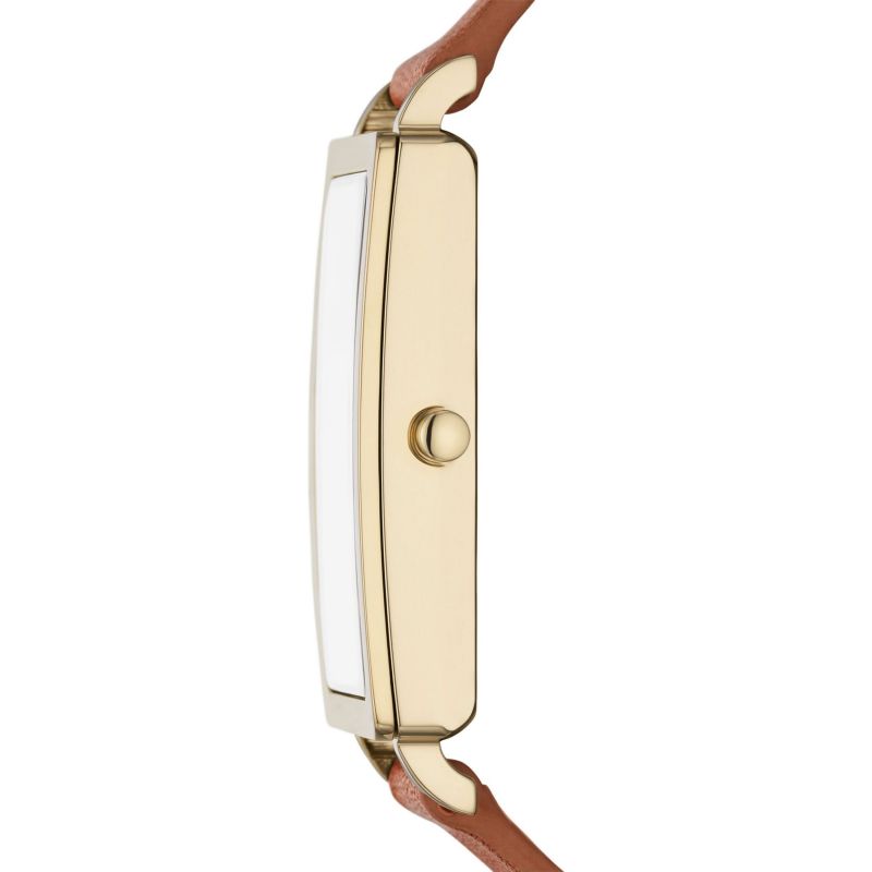 Skagen Hagen Brown Leather Woman's Watch | SKW3097 | Time Watch Specialists