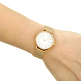 Skagen Signatur Gold Round Stainless Steel Mesh Women's Watch | SKW2693 | Time Watch Specialists