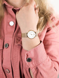 Skagen Signatur Gold Round Stainless Steel Mesh Women's Watch | SKW2693 | Time Watch Specialists